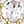 Gold Tone White