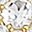 Gold Tone White