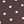 Brown Dots