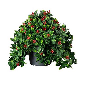 nearly natural 16-Inch UV Resistant Artificial Holly Berry Christmas Plant