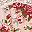 Pink Floral