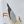 Seabirds