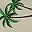 Palm Tree
