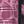 Pink Purple