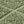 Garden Green
