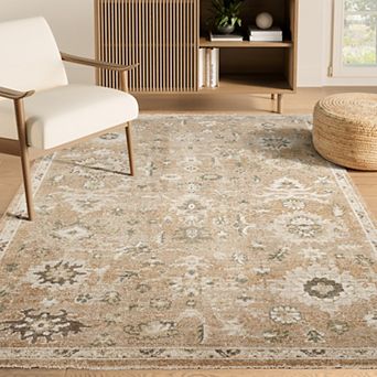 Abani Rugs EVE120A Evelyn Traditional Vintage Terracotta Rust Ivory Area Rug
