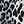 Bgray Leopard