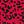 Red Leopard