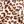 Brown Leopard