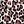 Brown Leopard