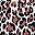 Brown Leopard