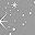 Grey White Star