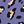 Purple Leopard