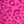 Hot Pink Leopard