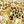Gold Tone