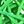 Grass Green