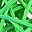 Grass Green