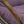 Grape
