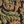 Brown Damask