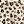 Brown Leopard