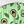 Green Avocado Print