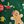 Green Christmas