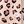Beige Leopard