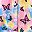Butterfly Tiedye