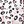 White Leopard