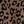 Brown Leopard