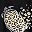 Leopard Heart