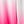 Pink Gradient