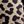Classic Leopard