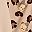 Brown Print