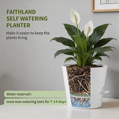 2Pcs 8" Self-Watering Planters With Deep Reservoir Indoor Outdoor Use