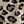 Leopard Print
