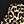 Black Leopard