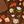 Brownteddy