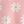Daisy Pink