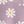 Daisy Purple