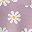 Daisy Purple