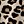 Leopard Print