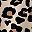 Leopard Print