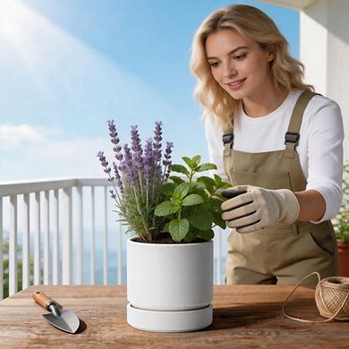 1Pc 6" Round Straight Planter With Drainage & Deep Catch Tray Indoor Plants