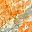 Yellow Orange