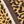 Brown Leopard