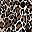 Apricot Leopard Print