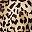 Leopard Grey Star