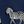 Navy Zebra