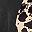 Camel Black Leopard